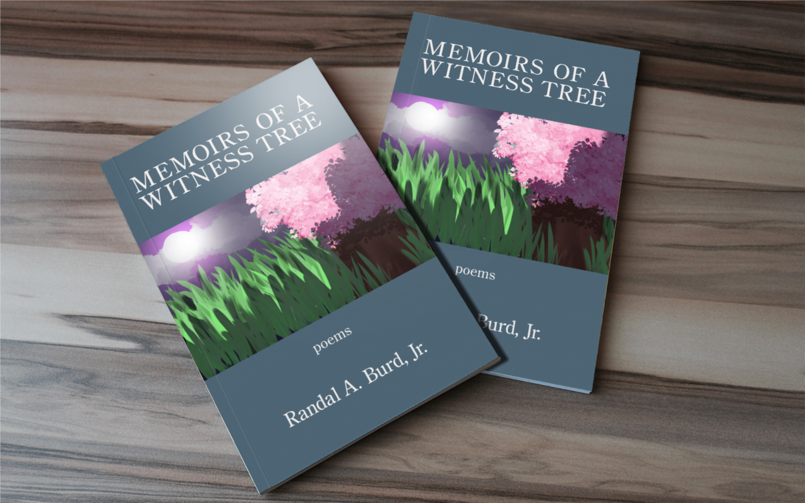 Witness Tree mockup 01